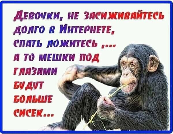 Мы живем в эпоху великих орфографических открытий Мы живем в эпоху великих орфографических открытий анекдоты,демотиваторы,приколы,стихи,юмор