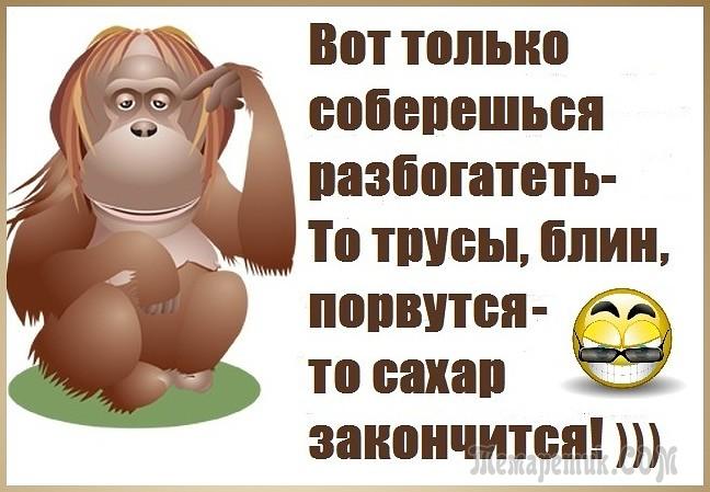 Заканчиваться найтись. Вот только соберешься разбогатеть. Олько соберешься разбогратеть. Только соберешься разбогатеть то трусы. Собираюсь разбогатеть.