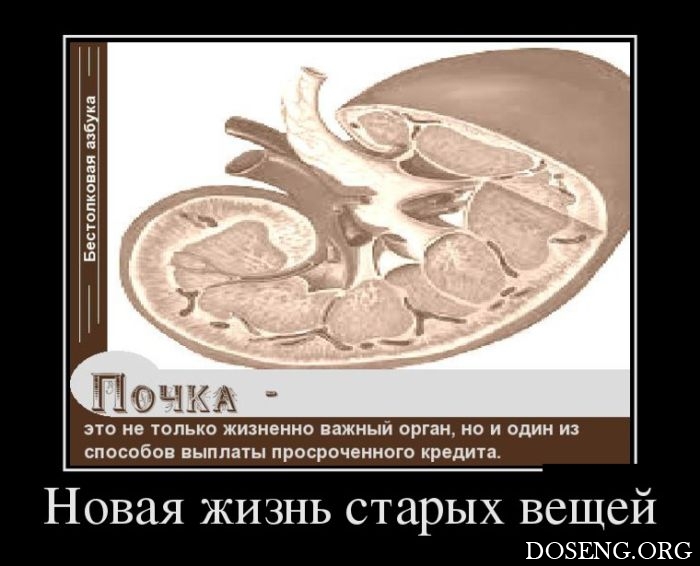 Демотиваторы