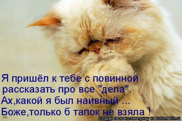 Мысли вслух :)