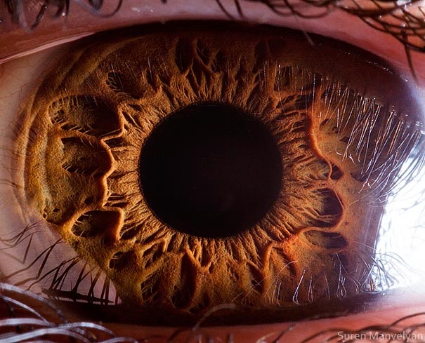 eye-macro-photo-1