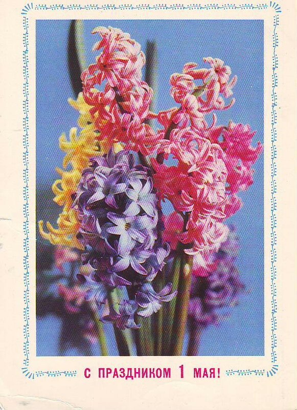 Первомай 2019 Первомай 2019