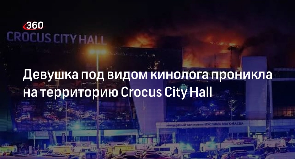 Девушка под видом кинолога проникла на территорию Crocus City Hall