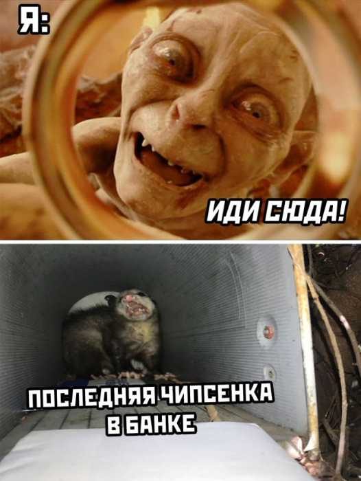 Улётные приколы Улётные приколы