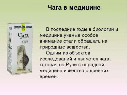 Чага - ценный дар природы для здоровья.
