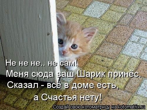 Прикольное фото демотеваторы, приколы, фото