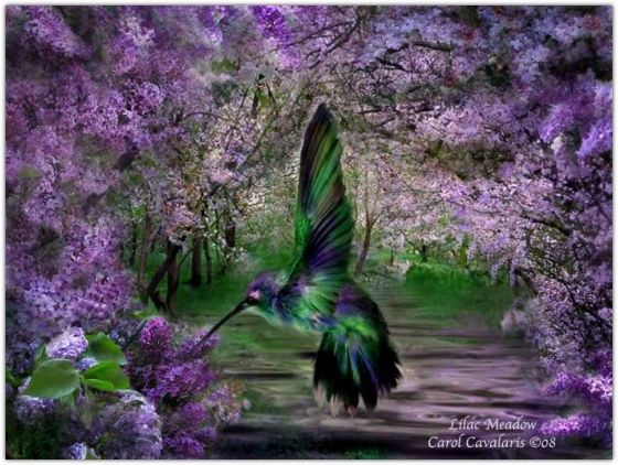 �������� �������� ����� ���������