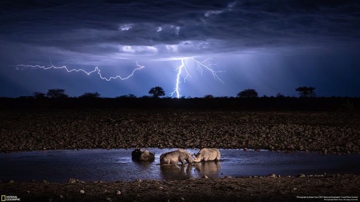 26 лучших фото по версии National Geographic. В них смешались фантастическая красота и беспощадный драматизм