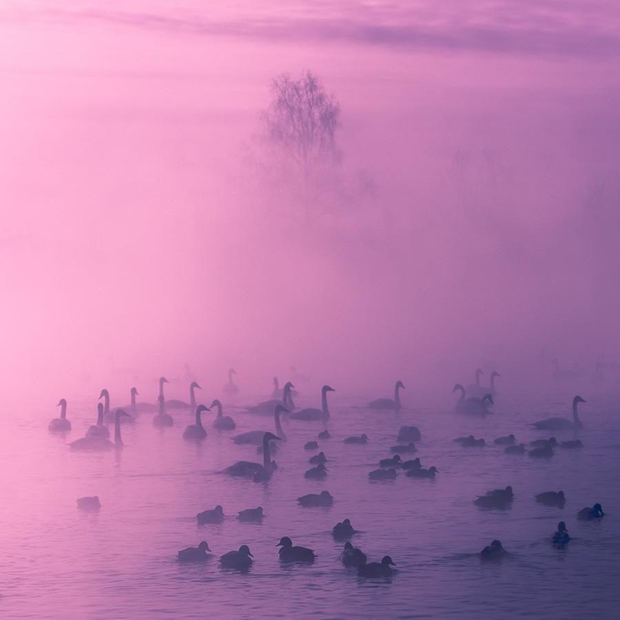 Невероятно красивые фотографии, после просмотра которых вам непременно захочется на Алтай Невероятно красивые фотографии, после просмотра которых вам непременно захочется на Алтай отдых,путешествие,туризм