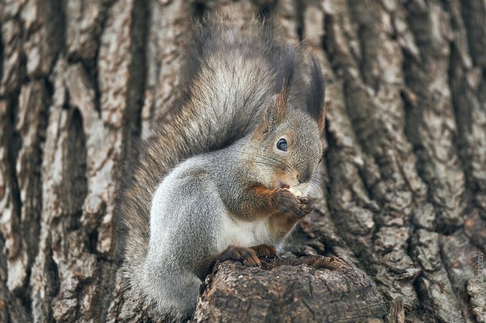 Подборка интересных и веселых картинок №62 Подборка интересных и веселых картинок №62 Отдых