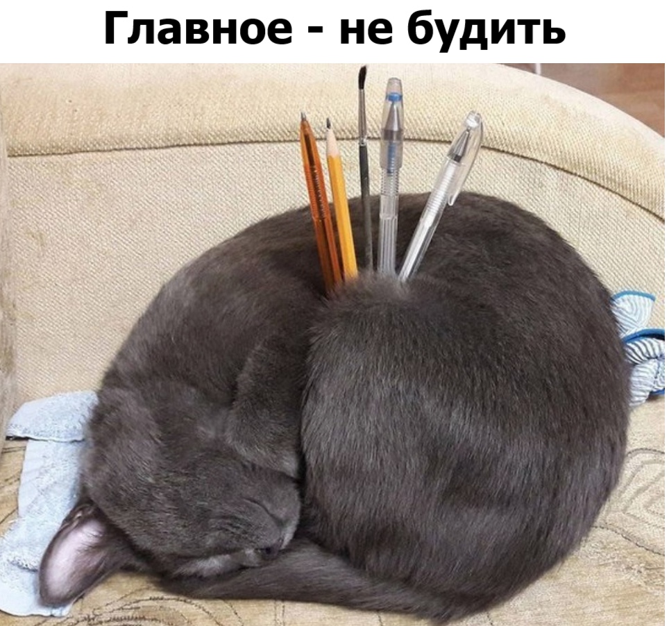 Зачетные и классные фотографии с надписями из сети Зачетные и классные фотографии с надписями из сети картинки с надписями,приколы,смешные картинки,смешные комментарии