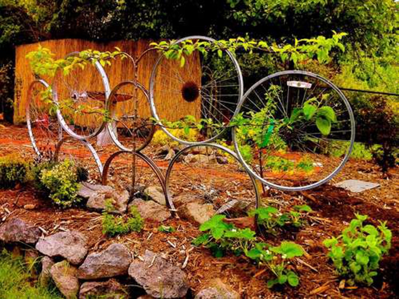 Опоры из подручных материалов. Велосипедные колеса в декоре сада. Велосипед в саду декор. Декор для сада из велосипедного колеса. Декор из колеса велосипеда в саду.