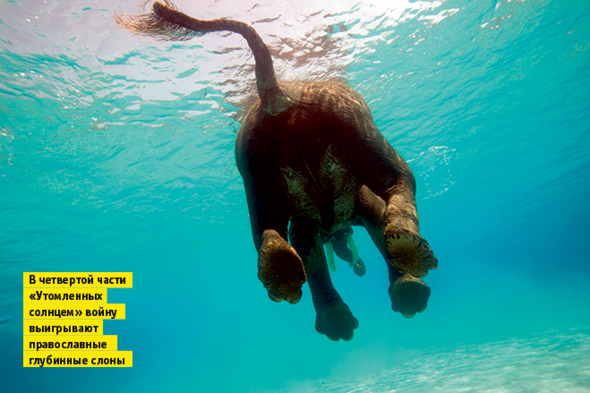 Слонопотамия. 13 фотоисторий из жизни слонов