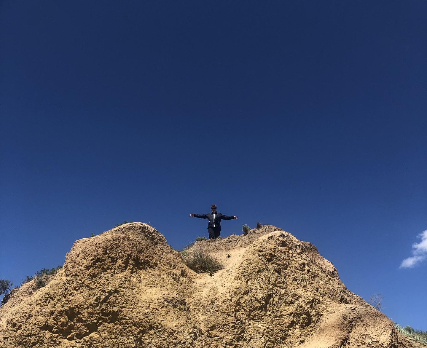 Птицы на Маныче 