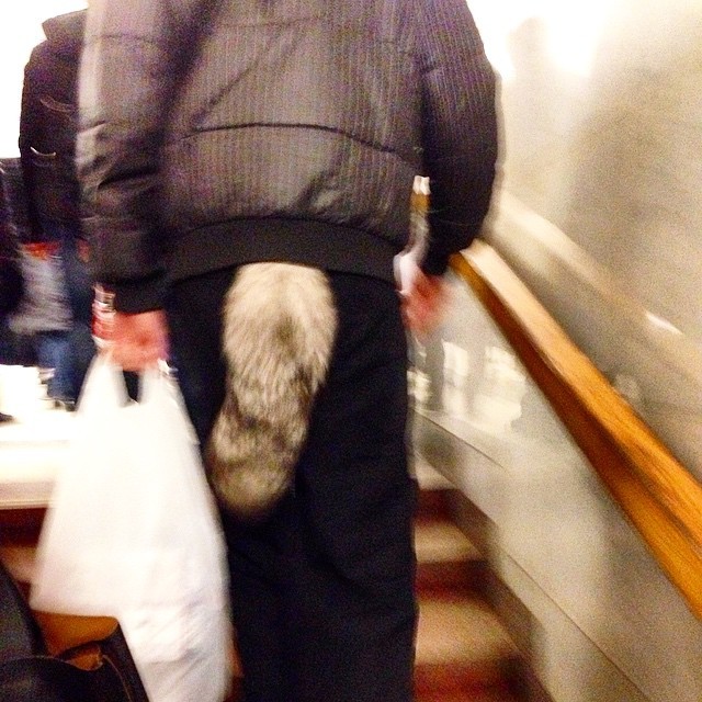 Немного фетиша никому не повредит прикол, так много вопросов, что здесь происходит?