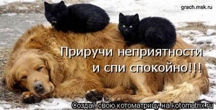 Мысли вслух :)