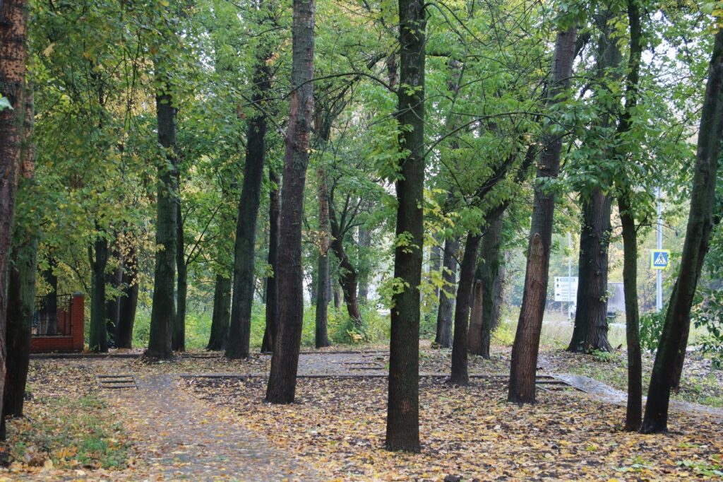 В Рязани продолжается благоустройство общественных и дворовых территорий