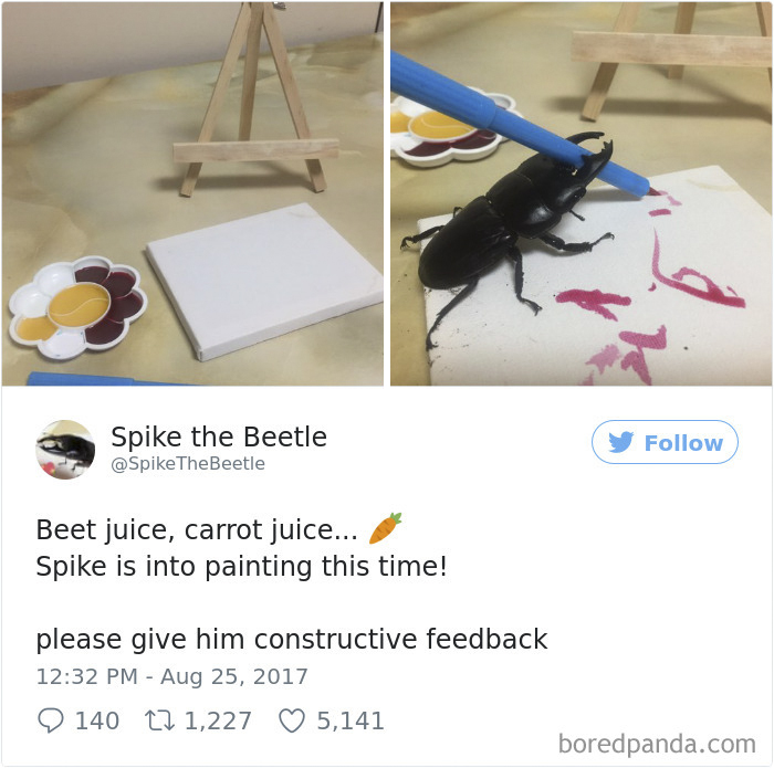 Drawing-bug-spike-the-beetle-japan
