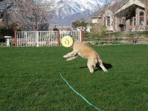 Прикольные моменты Прикольные моменты