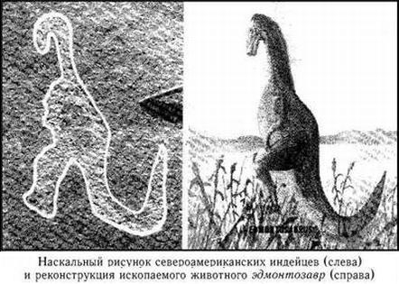 Как проходят раскопки палеонтологов наука