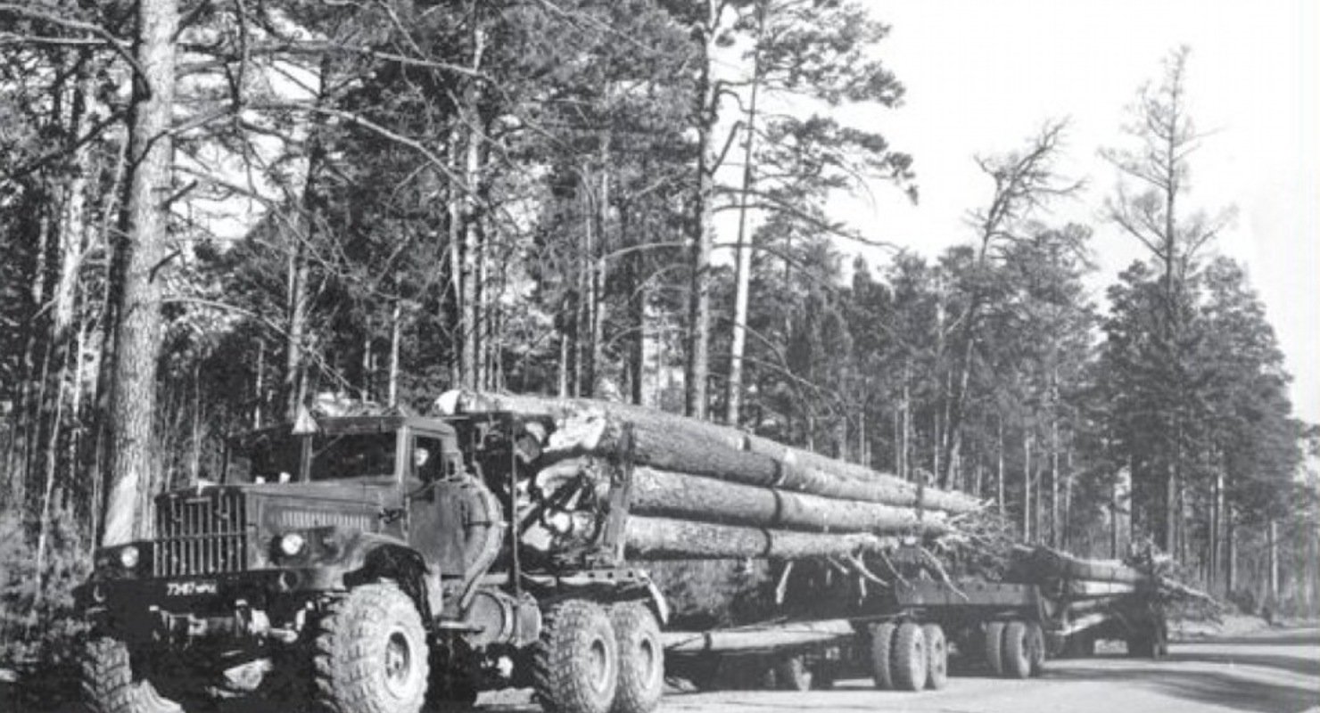 КрАЗ-255Л: Легенда лесозаготовки
