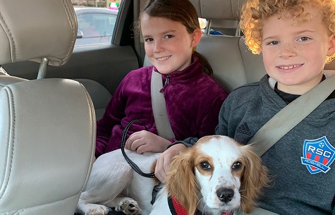 Дети и собака