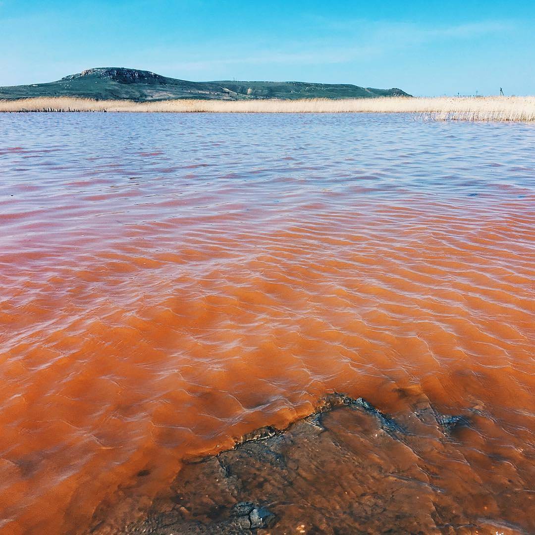 8 завораживающих фото розового Чокракского озера, которое находится в Крыму путешествие,туризм