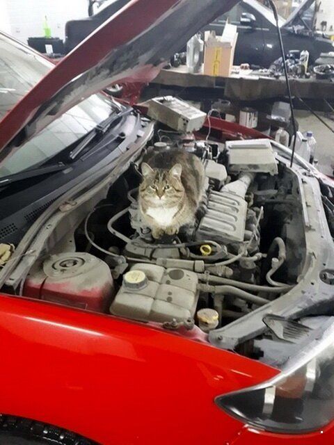 Подборка добрых и весёлых картинок Подборка добрых и весёлых картинок автоновости