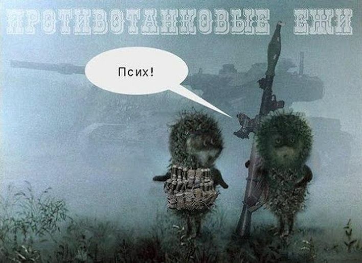 Картинки ежик в тумане приколы