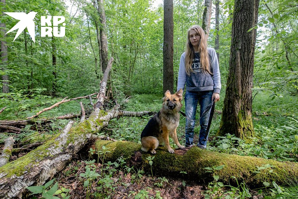 Ориентироваться в лесу помогает собака Рэри Фото: Андрей АБРАМОВ
