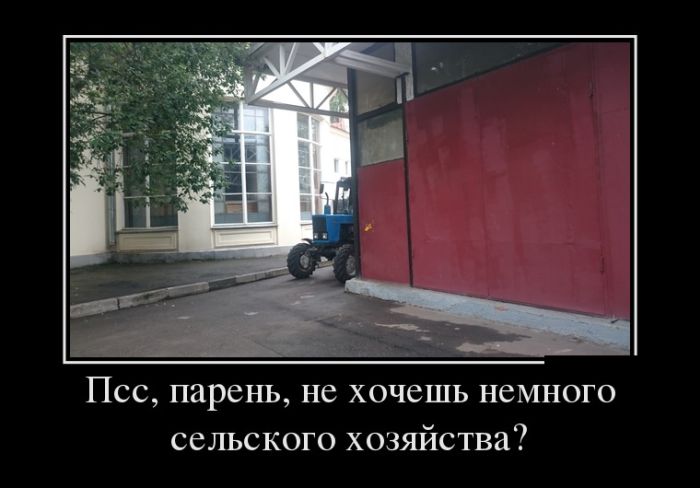 Демотиваторы выходного  дня 