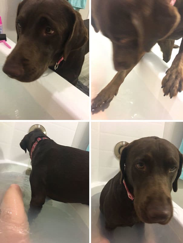 I Was Trying To Enjoy A Nice Bath, But This Happened I Was Trying To Enjoy A Nice Bath, But This Happened