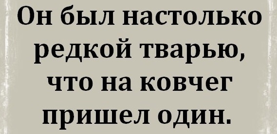 - Как много молодежи на самокатах. - Да, растет поколение с одной длинной и сильной ногой
