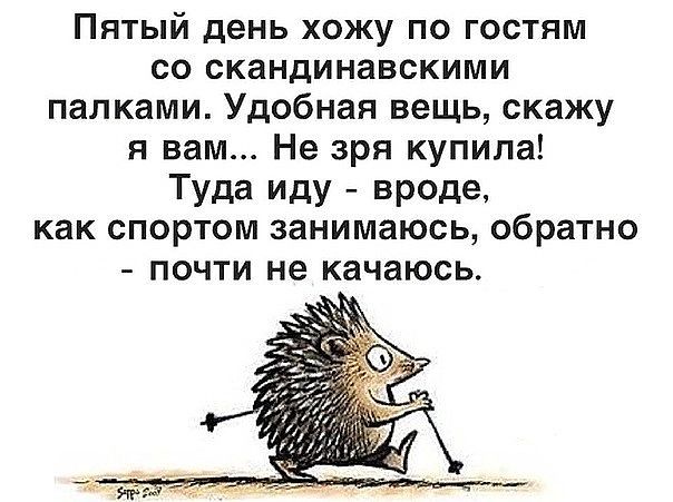 Мы живем в эпоху великих орфографических открытий Мы живем в эпоху великих орфографических открытий анекдоты,демотиваторы,приколы,стихи,юмор