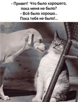 Пришла пора зарядиться позитивом! Подборка зажигательного юмора Пришла пора зарядиться позитивом! Подборка зажигательного юмора