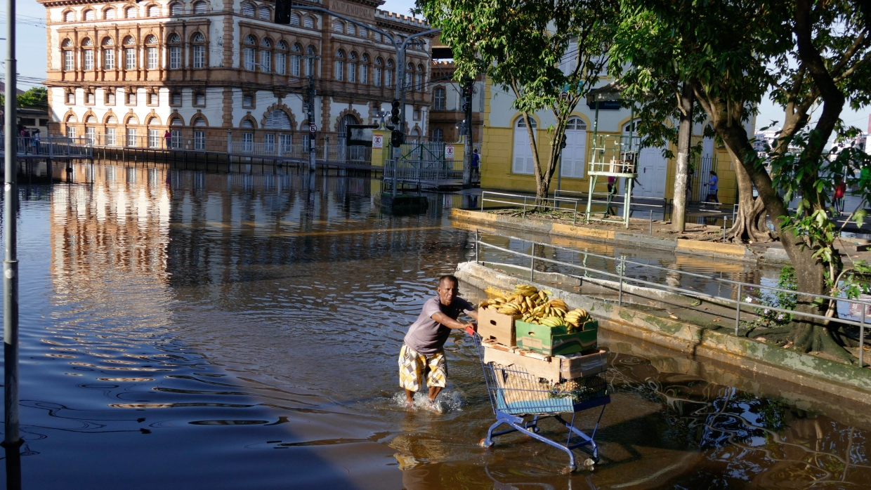 Бразильский штат Амазонас переживает масштабный паводок