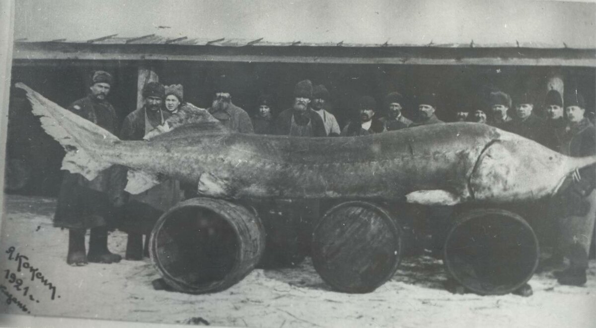 1921 год. Фото взято из открытых источников.