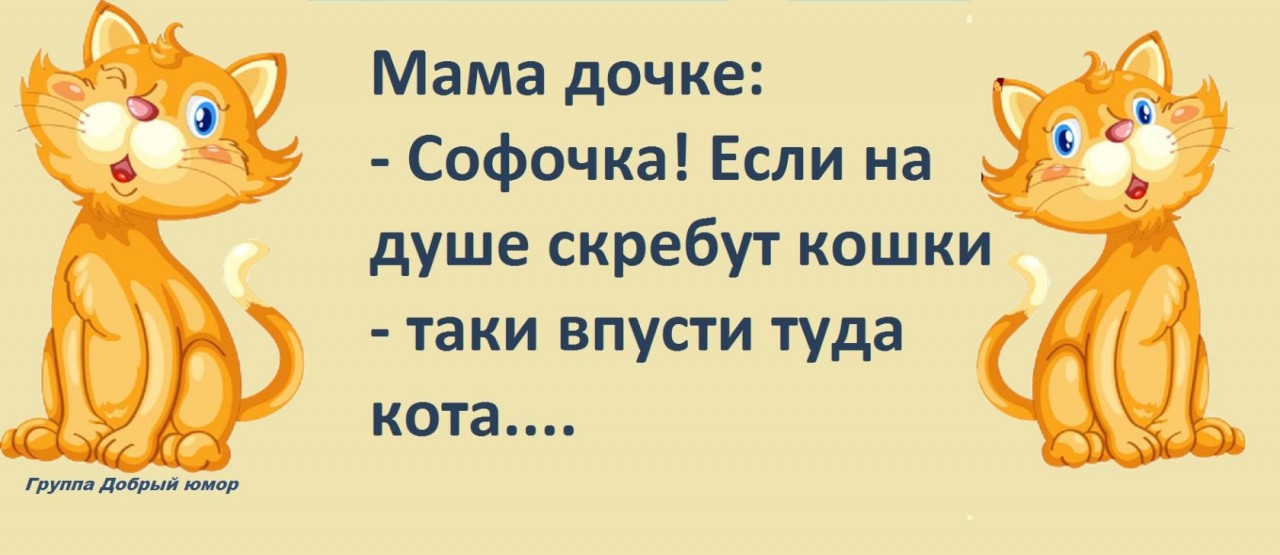 На душе кошки скребут. На душе скребутся кошки. На душе скребутся кошки стихи. Если на душе скребут кошки. Кошка в душе.