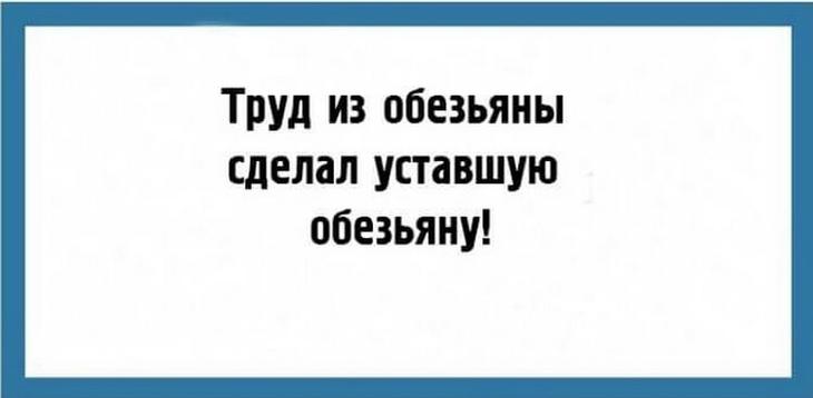 22 очень жизненные шутки, которые оценят поклонники сарказма 