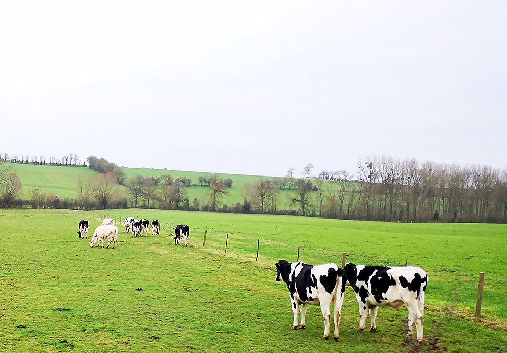 Лион-ла-Форе  – деревня, где охотились герцоги виза