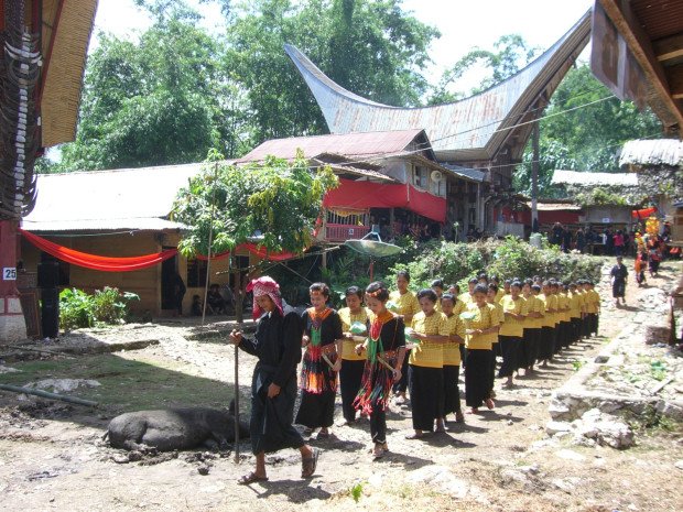 В Индонезии есть обычай раз в несколько лет доставать трупы из гробов, чтобы помыть и переодеть (5 фото)