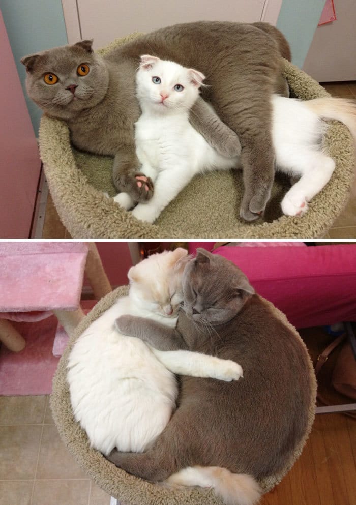Growing Up Together