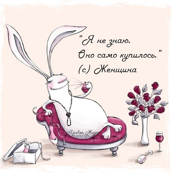 Позитивные картинки с прикольными фразками Позитивные картинки с прикольными фразками