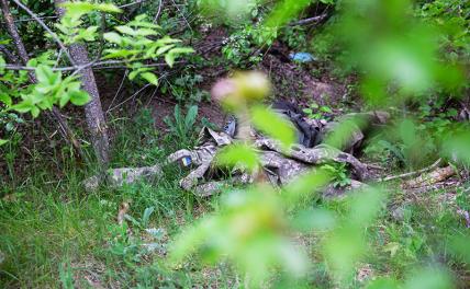 Лютый бандеровский «Кракен» * умылся кровью под Харьковом