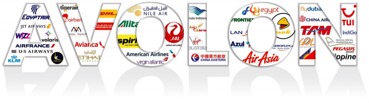 Логотипы клиентов Avolon
