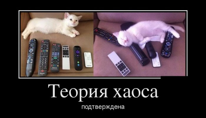 Подборка свежих демотиваторов со смыслом (11 фото)