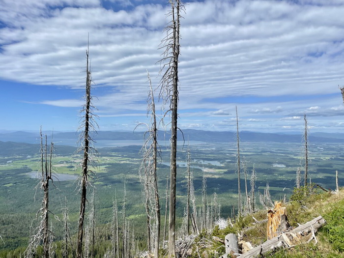 корона, Следы пожара