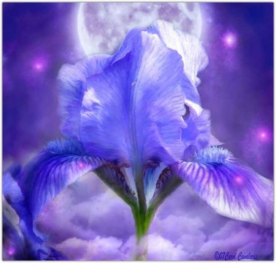 �������� �������� ����� ���������