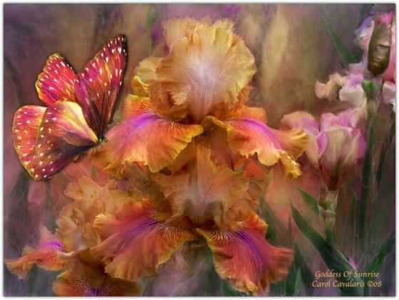 �������� �������� ����� ���������