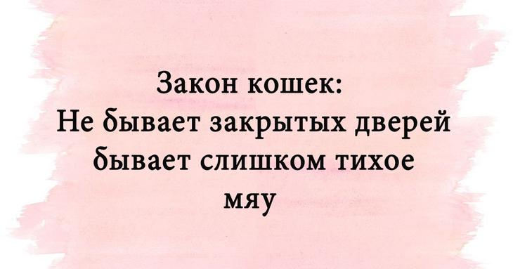 Анекдоты, которые подарят вам великолепное настроение 